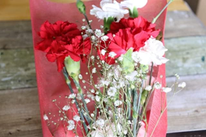 母の日お花 第1位　人気No.1 母の日カーネーション花束（生花）の商品画像