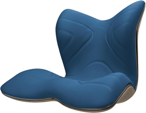 母親誕生日プレゼント 実用的 第19位 姿勢サポートクッションの画像